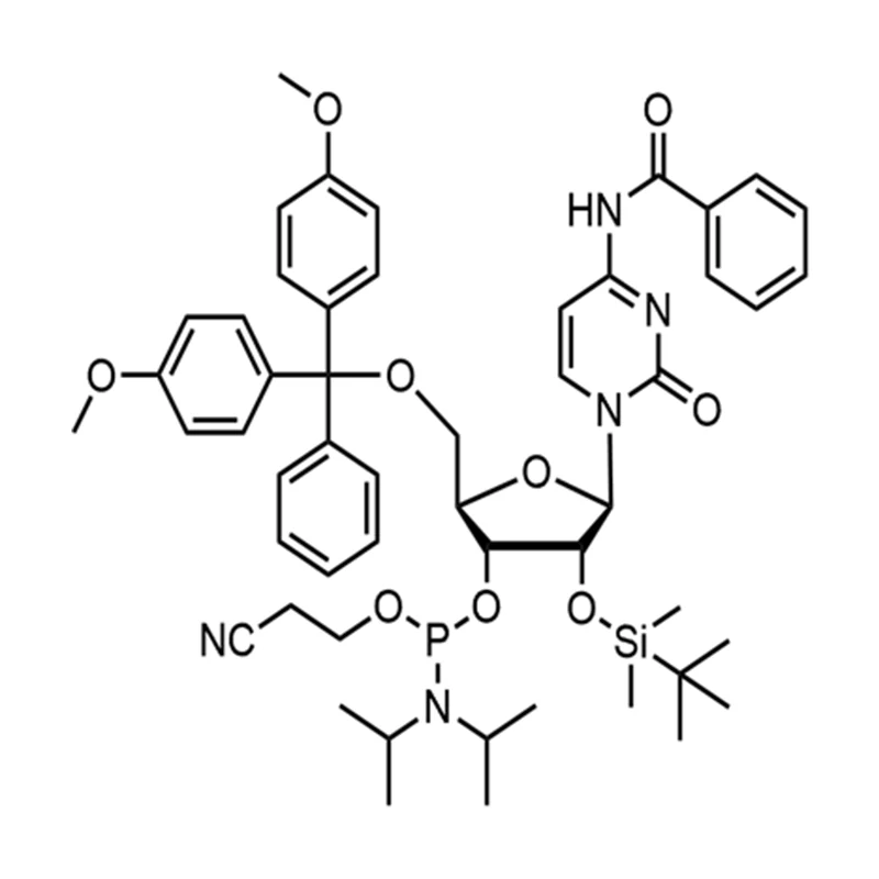 Bz-rC foszforamidit